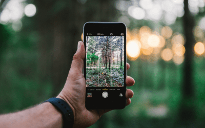 Use Your Iphone to Take Great Photos