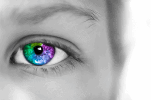 How Photoshop Training Can Help You Achieve Your Career Goals